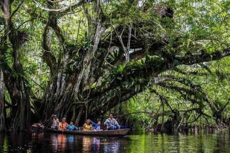 Reflexiones del corpus mítico Amazónico de tradición oral